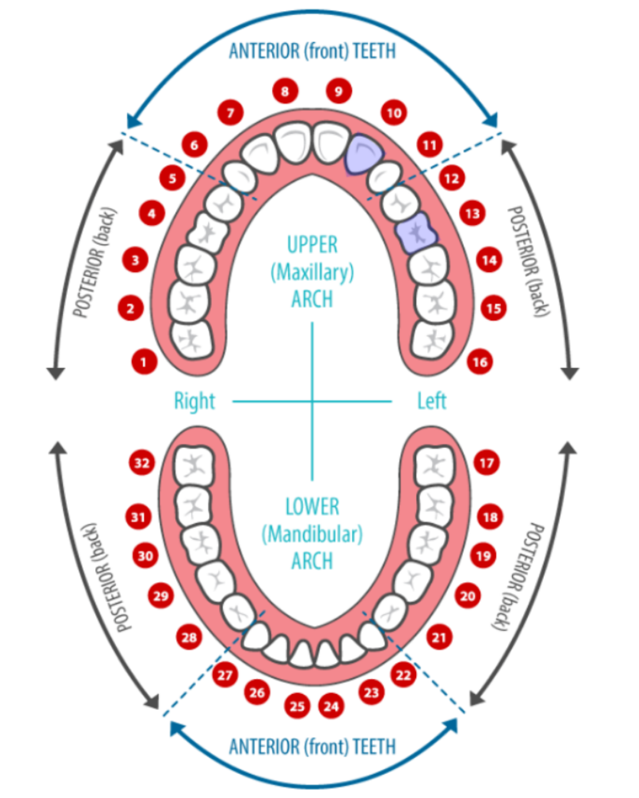 Select step illustration